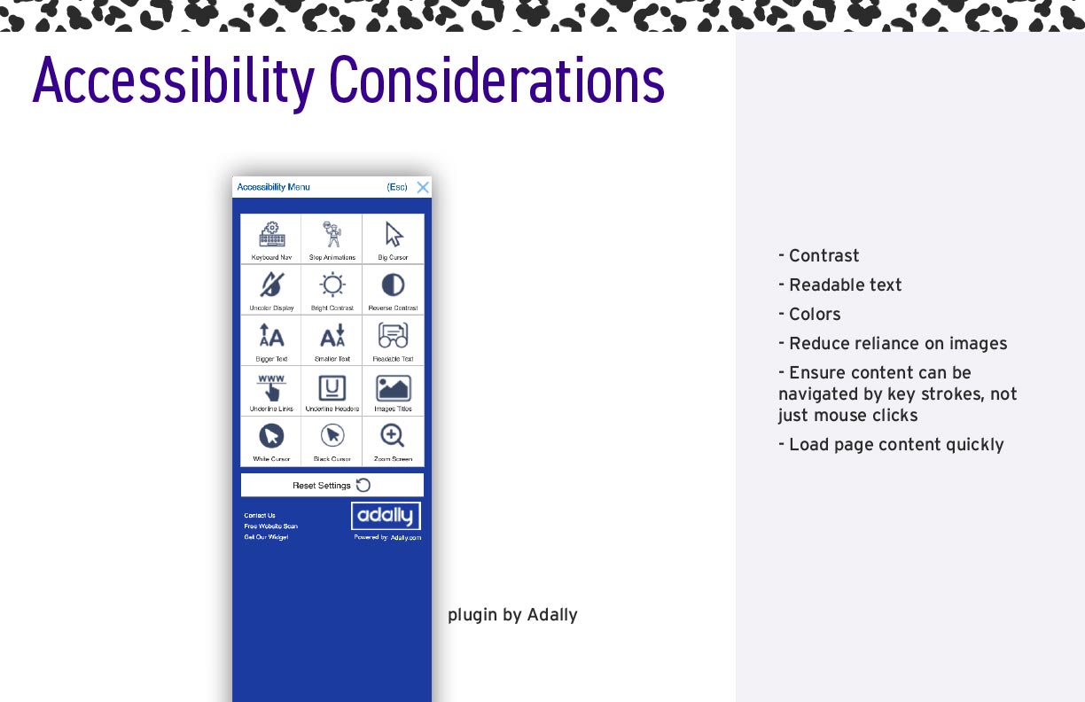 A graphic of the Adally plugin tool under the heading "Accessibility Considerations"