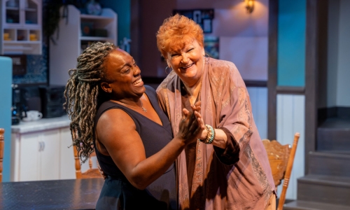 the-roommate-at-slac-dee-dee-darby-duffin-annette-wright-by-nick-fleming-1