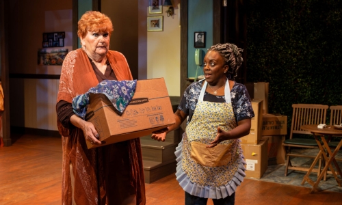 the-roommate-at-slac-dee-dee-darby-duffin-annette-wright-by-nick-fleming-10