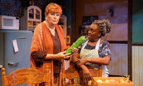 the-roommate-at-slac-dee-dee-darby-duffin-annette-wright-by-nick-fleming-11