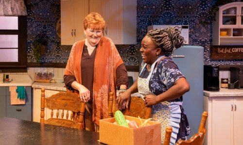 the-roommate-at-slac-dee-dee-darby-duffin-annette-wright-by-nick-fleming-12