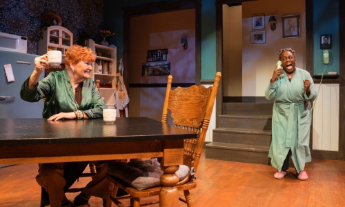 the-roommate-at-slac-dee-dee-darby-duffin-annette-wright-by-nick-fleming-5